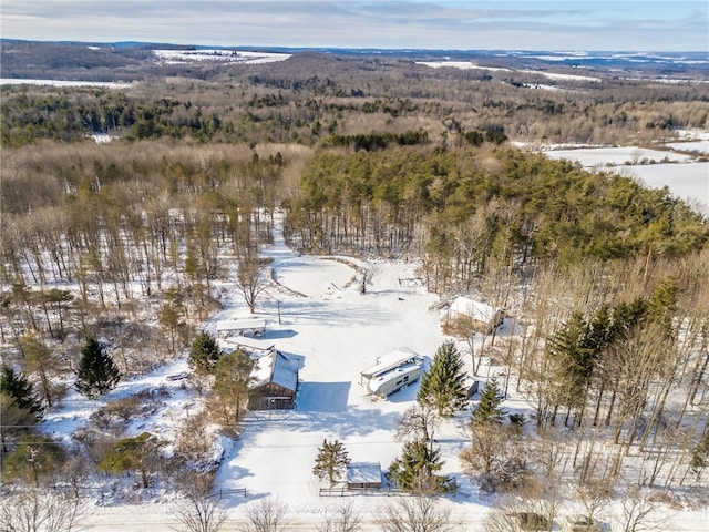 9545 Redman Rd, Allen NY, 14735 land for sale