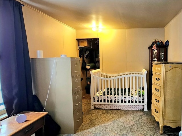 bedroom with a nursery area