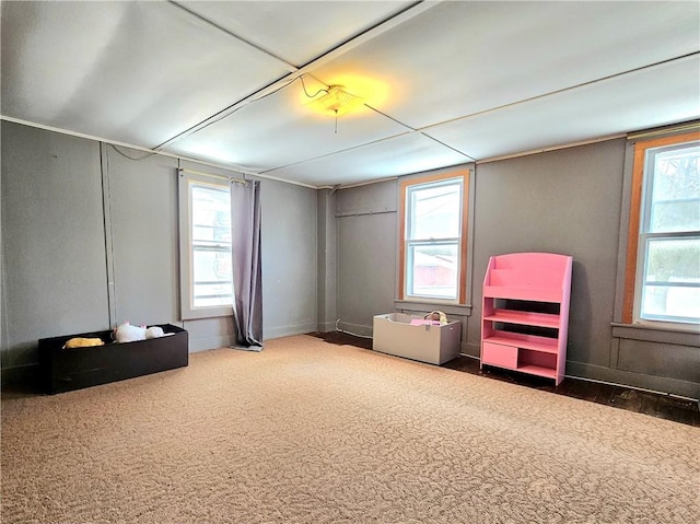 misc room with carpet floors