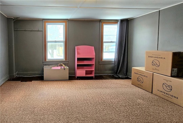 game room with carpet and plenty of natural light