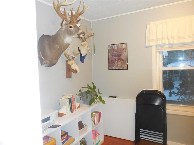 home office featuring dark hardwood / wood-style flooring and ornamental molding