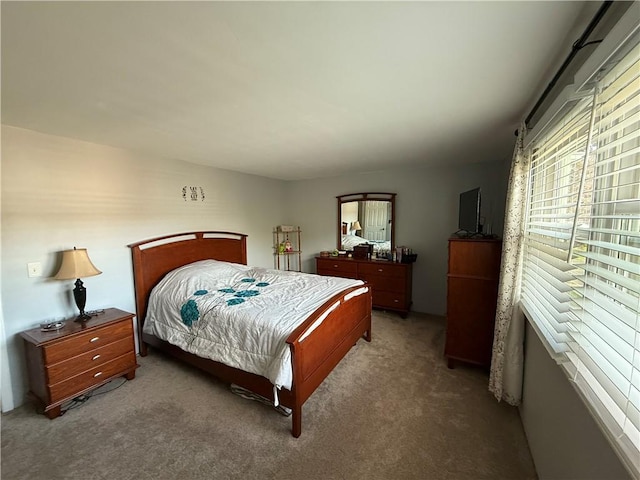 bedroom with carpet flooring