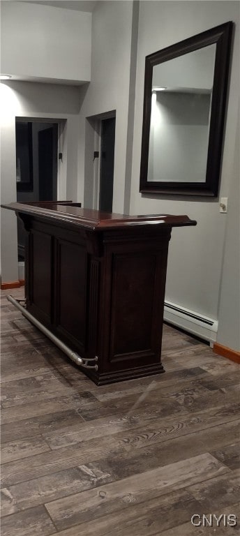 interior space featuring baseboard heating, wood-type flooring, and vanity