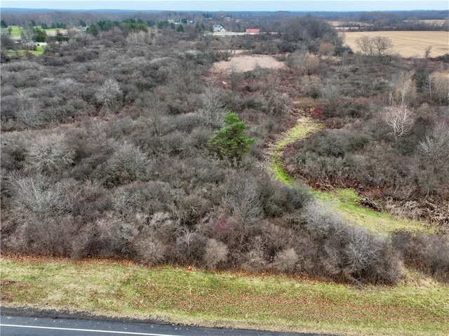 Listing photo 3 for 0 Brace Rd Unit 12.9, Acres, Victor NY 14564