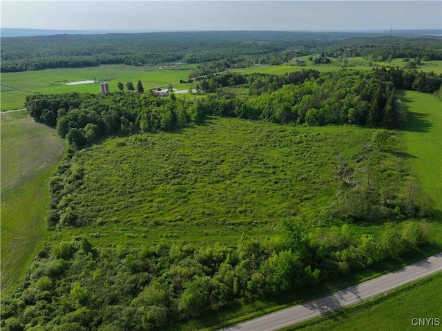 bird's eye view with a rural view