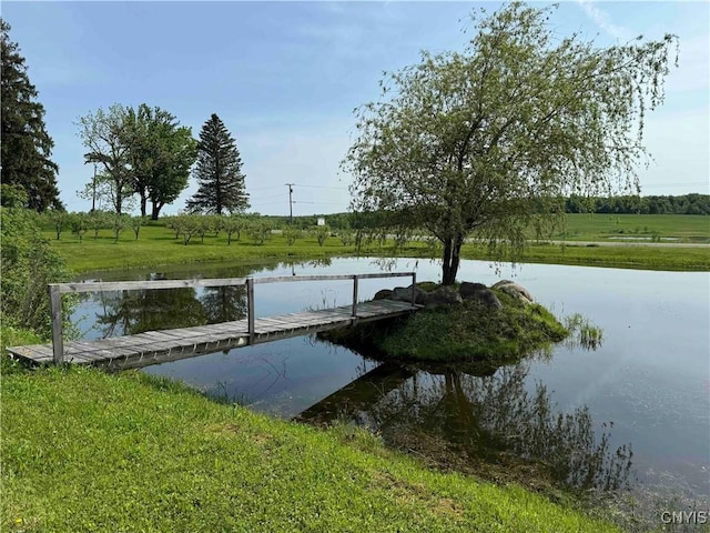 dock area with a water view