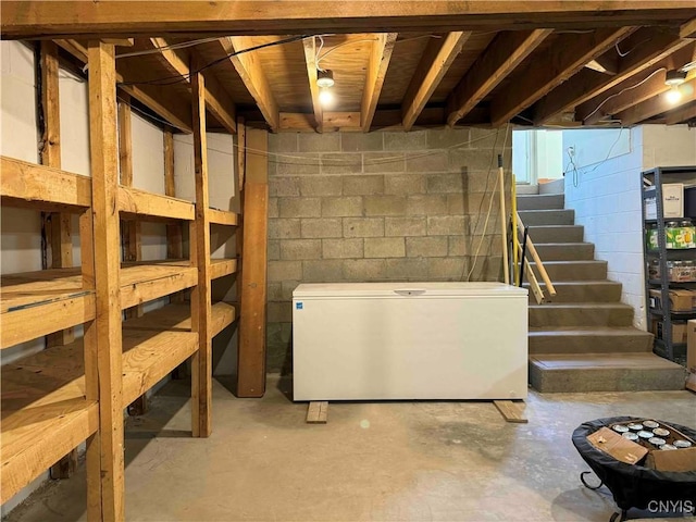 basement featuring refrigerator