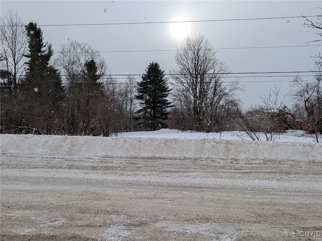 County Rte 194, Pinckney NY, 13626 land for sale