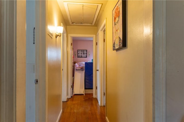 corridor featuring wood-type flooring