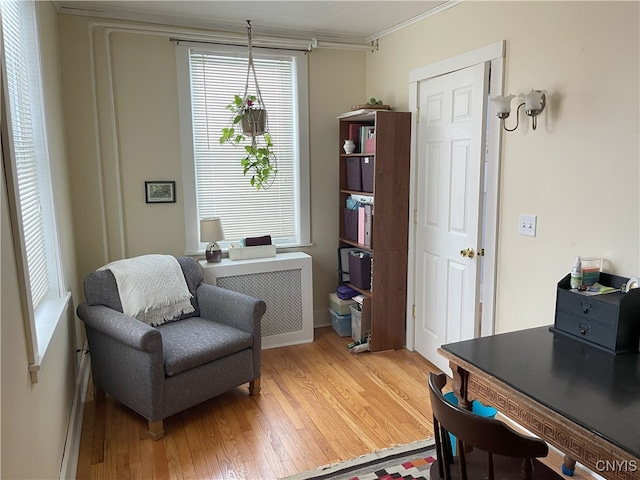 home office featuring hardwood / wood-style flooring, radiator, and crown molding