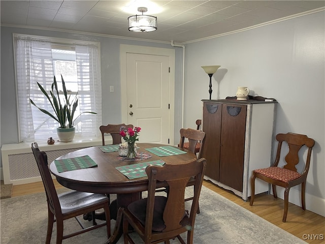 dining area featuring radiator, crown molding, and light hardwood / wood-style floors