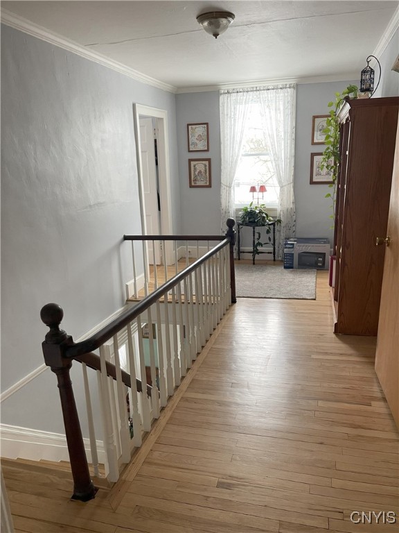 corridor featuring light wood-type flooring and ornamental molding