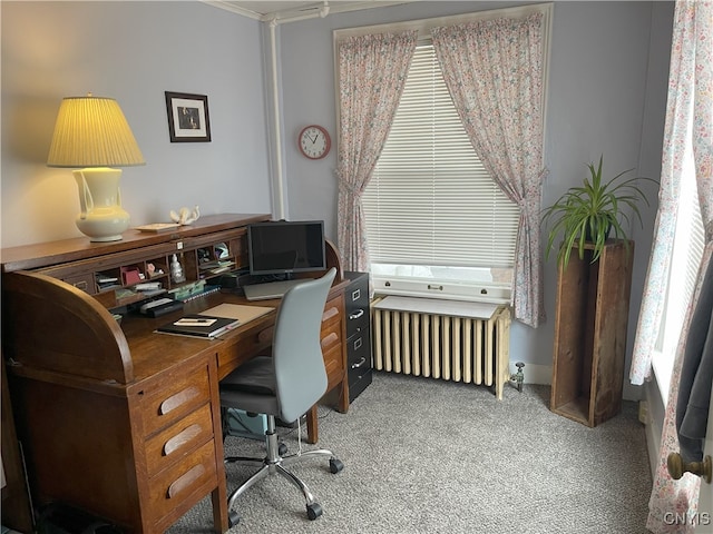 home office featuring carpet floors and radiator