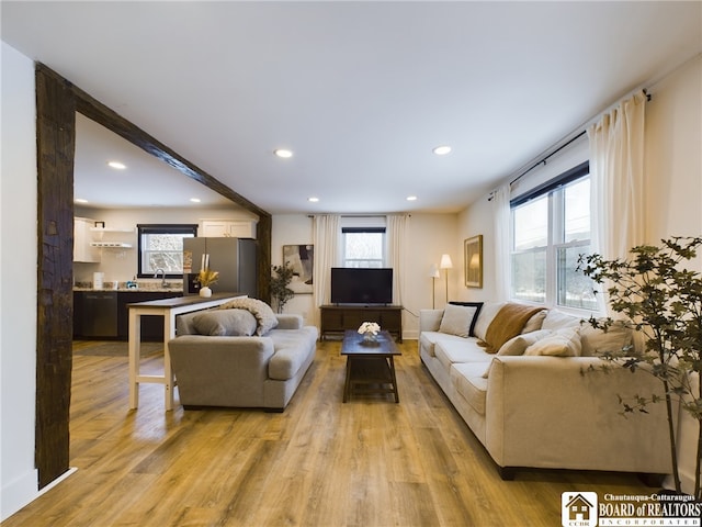 living room featuring light hardwood / wood-style flooring