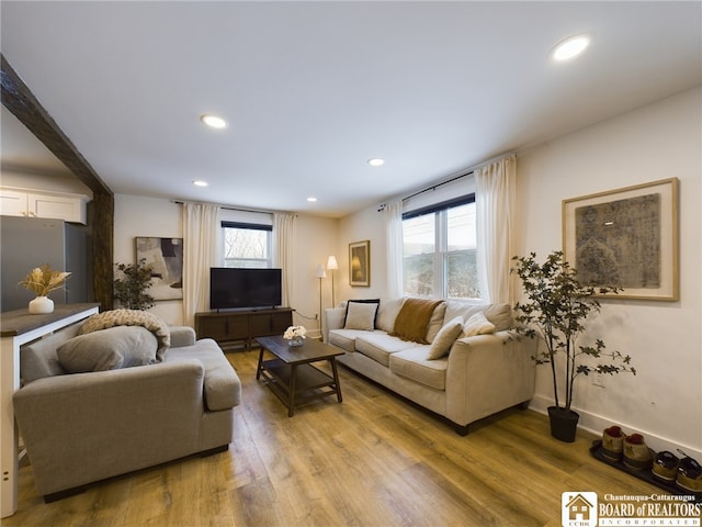 living room with light wood-type flooring