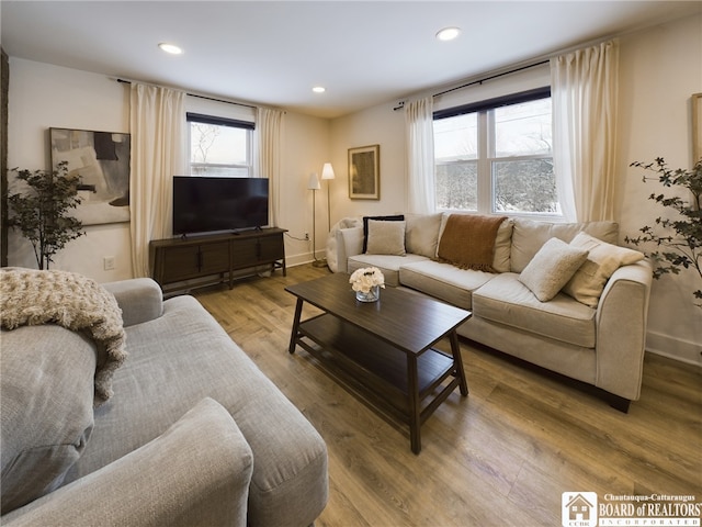 living room with wood-type flooring