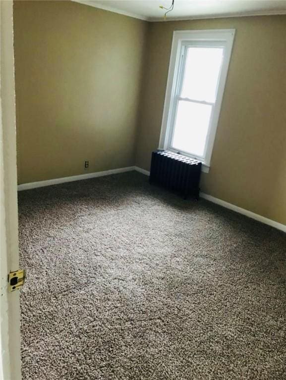 unfurnished room with carpet, ornamental molding, and radiator