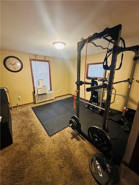 workout area featuring carpet