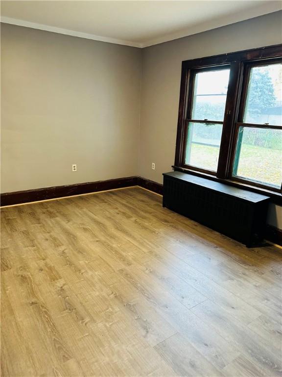 empty room with light hardwood / wood-style flooring and ornamental molding