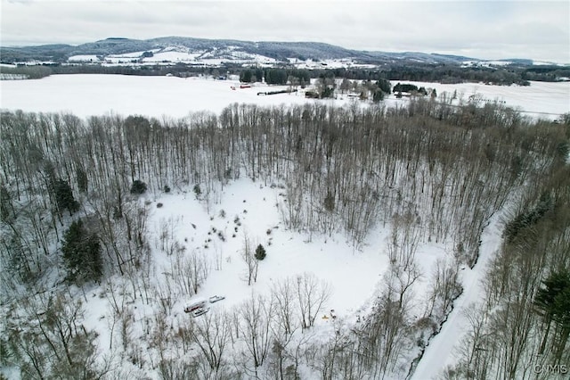 Latus Rd, Paris NY, 13318 land for sale