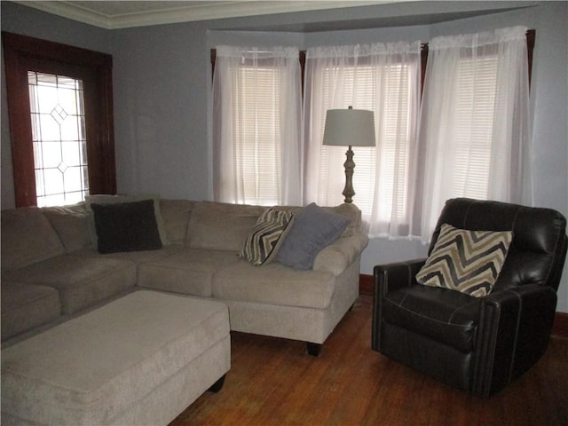 living room featuring a wealth of natural light, crown molding, and wood-type flooring