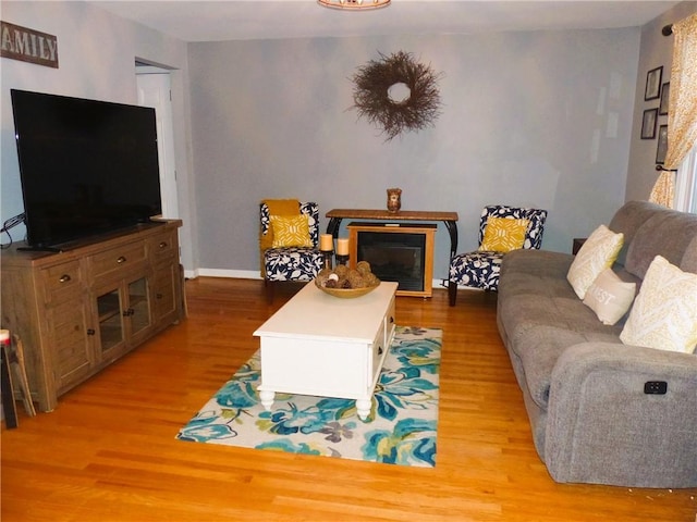 living room featuring light hardwood / wood-style floors