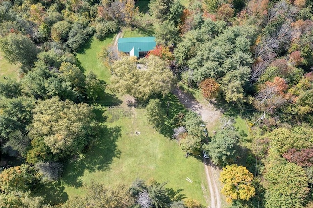9539 Bronson Rd, Dansville, NY 14572 - aerial view