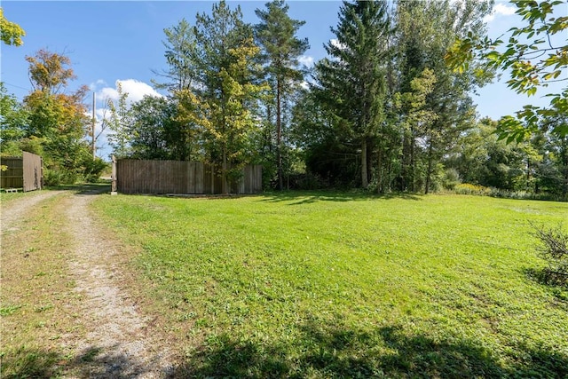 9539 Bronson Rd, Dansville, NY 14572 - view of yard