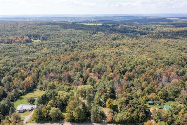 9539 Bronson Rd, Dansville, NY 14572 - drone / aerial view