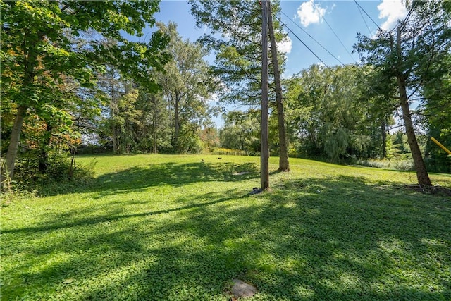 9539 Bronson Rd, Dansville, NY 14572 - view of yard