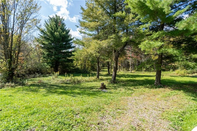 9539 Bronson Rd, Dansville, NY 14572 - view of yard