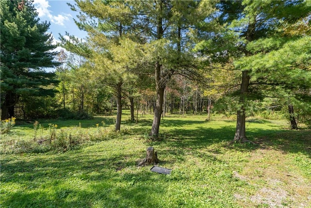 9539 Bronson Rd, Dansville, NY 14572 - view of yard