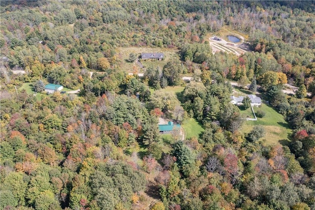 9539 Bronson Rd, Dansville, NY 14572 - bird's eye view