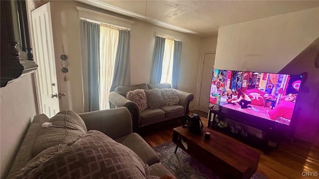 living room with hardwood / wood-style floors