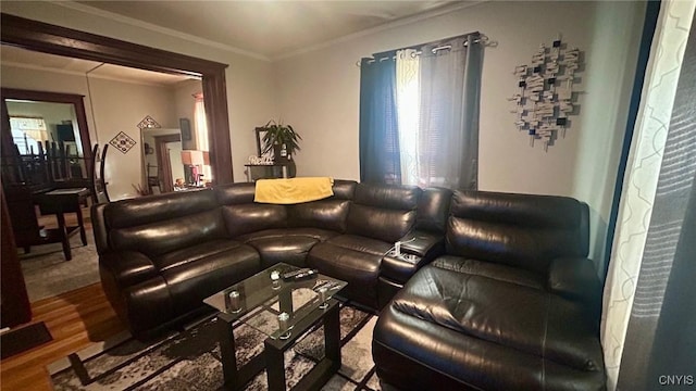 living room with wood-type flooring and crown molding