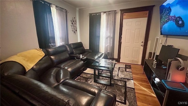 living room with hardwood / wood-style flooring