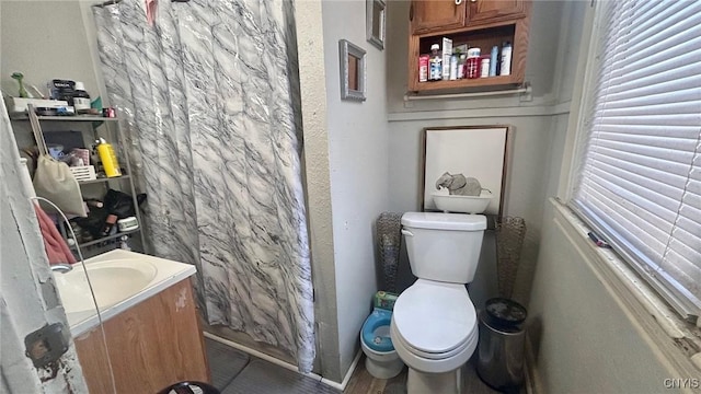 bathroom featuring toilet, vanity, and walk in shower