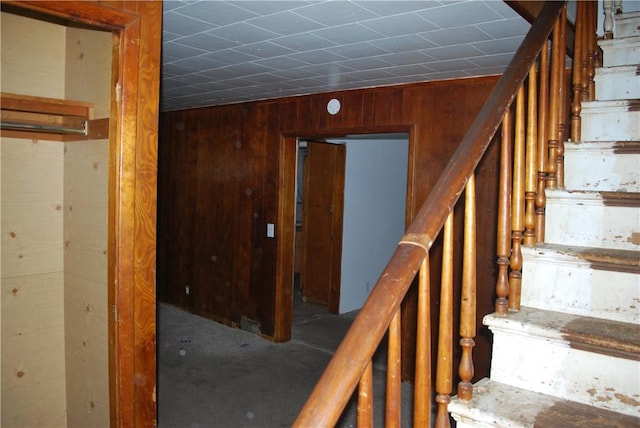 stairs featuring wood walls and carpet flooring