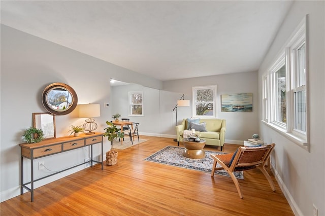 sitting room with light wood-type flooring