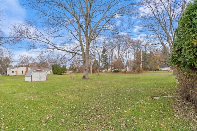 view of yard featuring a storage shed