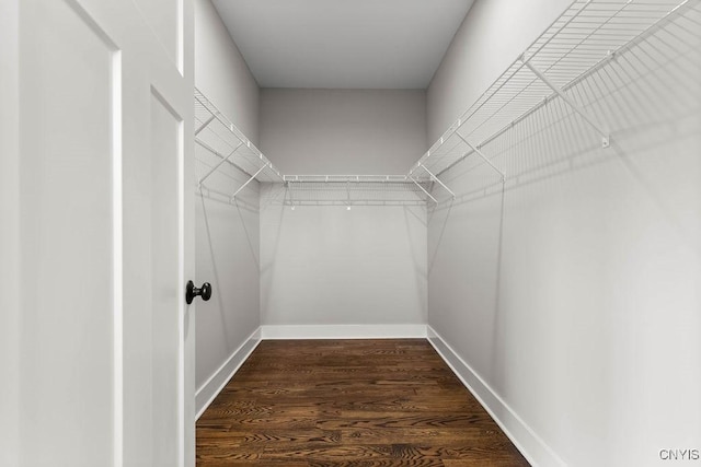 walk in closet featuring dark wood-type flooring