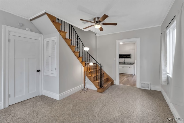 stairs featuring ceiling fan, ornamental molding, and carpet flooring