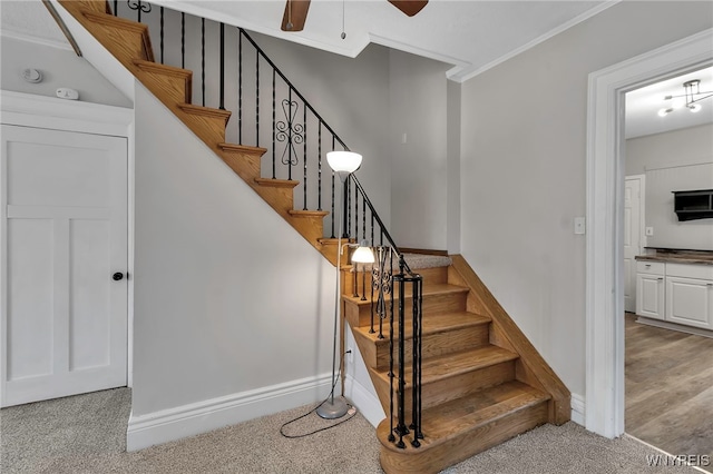 staircase with carpet floors, ceiling fan, and ornamental molding