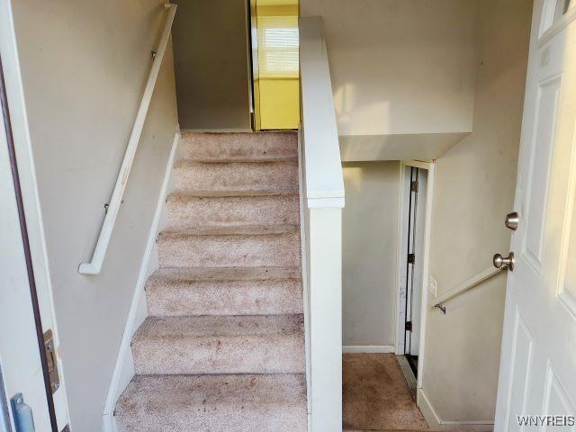 stairs with carpet flooring