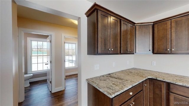 kitchen with dark hardwood / wood-style flooring, dark brown cabinets, and light stone counters