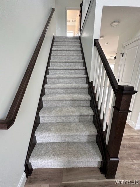 staircase with wood-type flooring