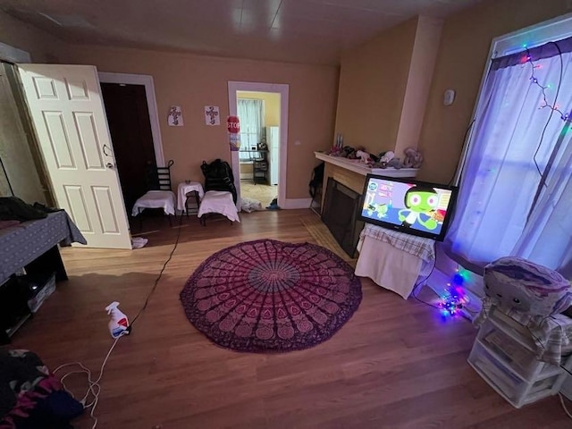 living room featuring hardwood / wood-style flooring