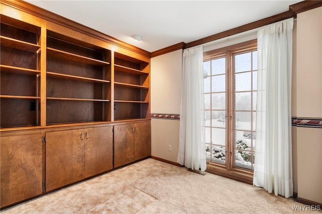 carpeted spare room with crown molding