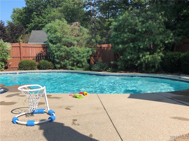 view of swimming pool featuring a patio area