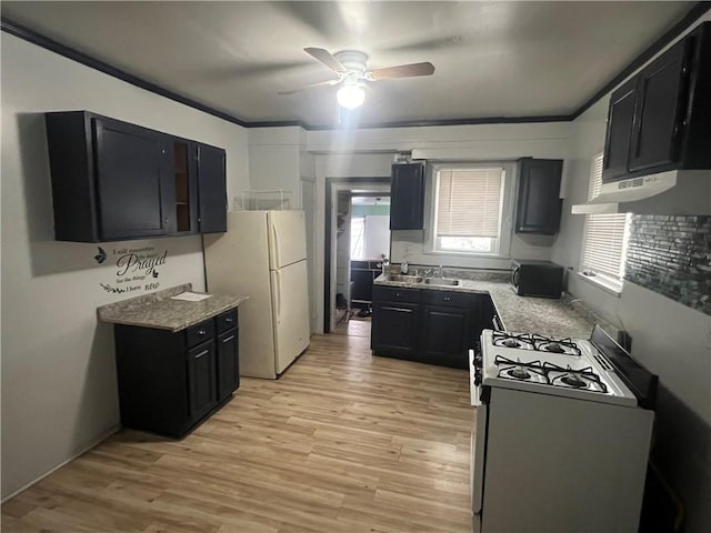 kitchen with white appliances, light wood-type flooring, crown molding, ceiling fan, and sink